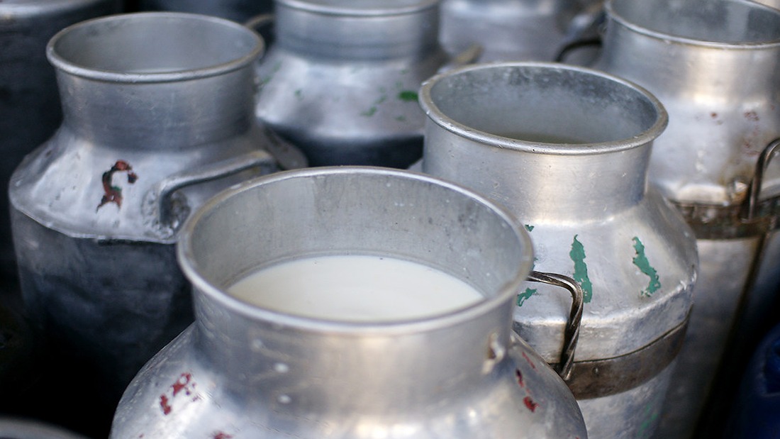 milk
